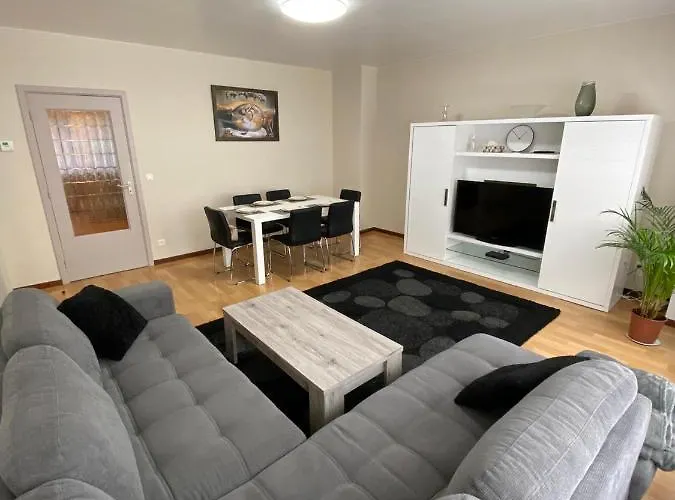 Appartement Haik's Palace *